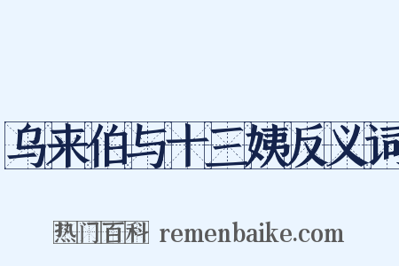 乌来伯与十三姨反义词是什么意思的图片